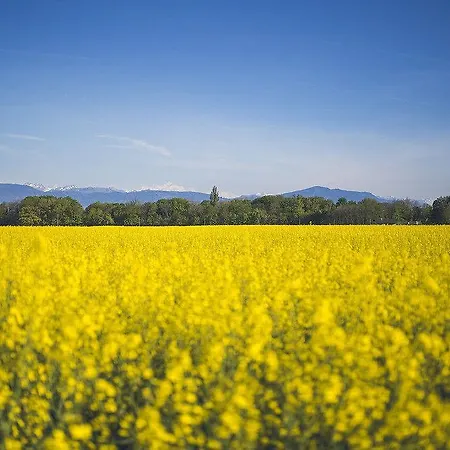 De La Réunion 3* Coinsins