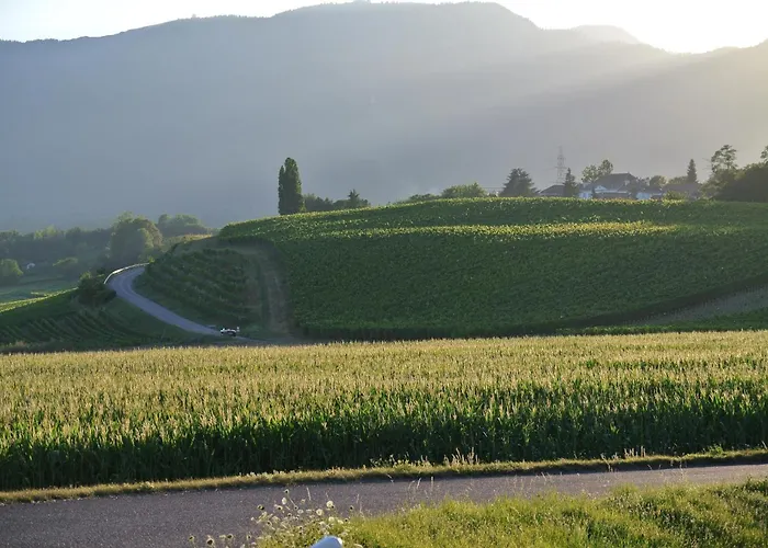 会议旅舍 科恩森