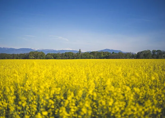 会议旅舍 3* 科恩森
